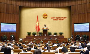 Quốc hội thông qua Nghị quyết thành lập Đoàn giám sát các nguồn lực phòng chống dịch COVID-19