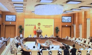 Khai mạc phiên họp thứ 13 của Ủy ban Thường vụ Quốc hội