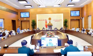 Cần có chính sách cụ thể cho lực lượng biên phòng