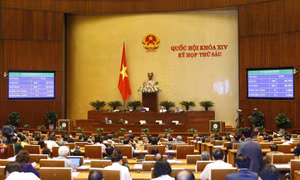 Cử tri tin tưởng vào những lá phiếu công tâm của đại biểu Quốc hội
