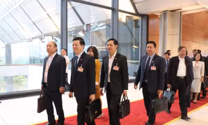 Nhanh chóng triển khai Nghị quyết Đại hội XIII của Đảng trong cuộc sống