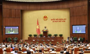 Kỳ họp thứ 5, Quốc hội khóa XV: Tiếp tục thảo luận về kinh tế-xã hội và ngân sách nhà nước