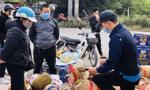 Bộ Nông nghiệp để nghị các tỉnh triển khai giải pháp thúc đẩy tiêu thụ nông sản