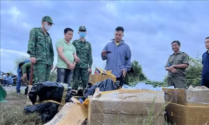 Phát hiện, xử lý các hành vi vi phạm pháp luật
