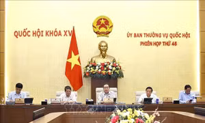 Sửa Luật Quy hoạch để các địa phương thực hiện chính quyền 2 cấp