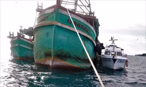 Cảnh sát biển tạm giữ hai tàu cá có hành vi mua bán, vận chuyển dầu D.O trái phép