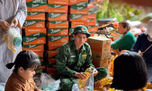 Bộ đội Biên phòng hỗ trợ giúp nhân dân khắc phục hậu quả sau bão số 13