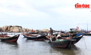 Ngư dân Kỳ Xuân trúng mùa cá mờm cơm