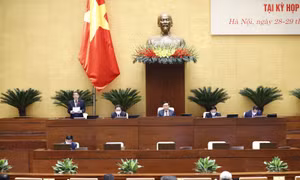 Bảo vệ quyền và lợi ích của người mua bảo hiểm