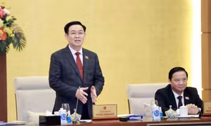 Xem xét mở rộng đối tượng của Pháp lệnh Xử phạt vi phạm hành chính trong lĩnh vực kiểm toán nhà nước