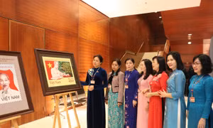 Hoàn thiện chính sách hỗ trợ lao động nữ