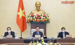 Hội nghị triển khai công tác HĐND năm 2022 của các tỉnh, thành phố