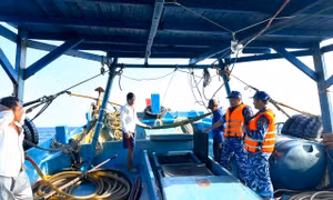 Vùng Cảnh sát biển 4 bắt giữ tàu vận chuyển 35.000 lít dầu DO trái phép