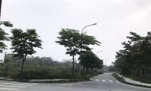 Công tác đấu giá quyền sử dụng đất còn nhiều bất cập