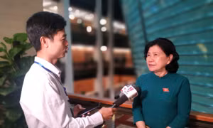 Phóng viên nghị trường thích ứng hoàn cảnh mới