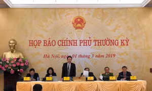 Sớm thực hiện kết luận thanh tra về dự án Cảng Qui Nhơn 