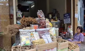 Thành phố Hồ Chí Minh