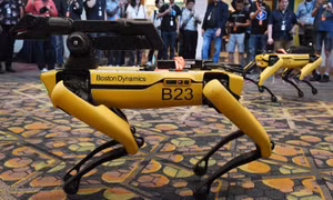 Xem chó robot trổ tài nhảy theo nhạc