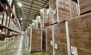 Mỹ cắt viện trợ, lương thực cứu đói gần 100 triệu USD bị bỏ mốc trong kho