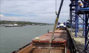 Nguồn cung lương thực sẽ ra sao sau khi Nga rút khỏi thỏa thuận ngũ cốc với Ukraine?