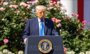 Hai lý do khiến tỷ lệ ủng hộ Tổng thống Trump giảm xuống mức thấp nhất từ đầu nhiệm kỳ