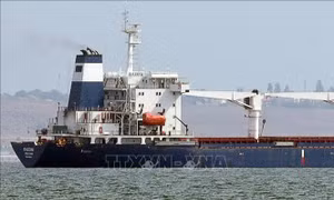 Nguyên nhân một số nước kêu gọi loại bỏ trở ngại đối với xuất khẩu phân bón của Nga 