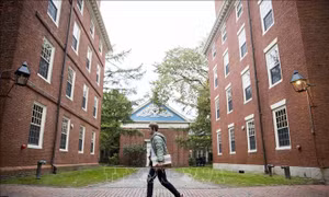 Bộ trưởng Mỹ cảnh báo không cho trường Harvard tuyển sinh viên quốc tế
