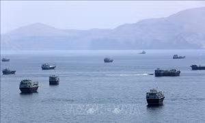 Châu Phi âm thầm tham gia giải quyết khủng hoảng ở eo biển Hormuz