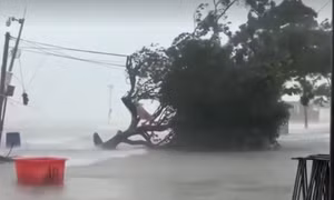 Video bão Matmo càn quét miền Nam Trung Quốc giữa cao điểm nghỉ lễ