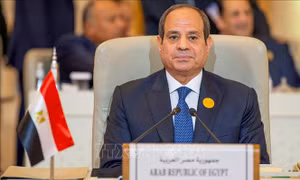 Lật lại kế hoạch đưa người Palestine tới định cư ở bán đảo Sinai của Ai Cập - Kỳ cuối