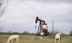 Ngành dầu khí Texas coi ông Biden thắng cử là mối đe dọa lớn nhất