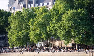Từ dòng nước ô nhiễm, sông Seine trở thành điểm bơi lội hấp dẫn nhất Paris