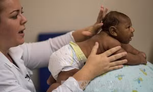 Thử nghiệm hiệu quả vaccine phòng Zika