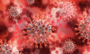 Người Nam Phi nhiễm HIV mắc COVID-19 suốt 216 ngày, virus biến đổi 32 lần trong cơ thể