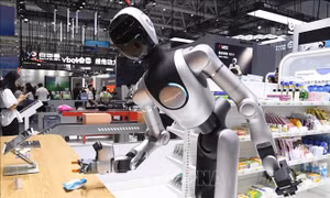 Dịch vụ robot hình người dọn nhà xuất hiện tại Mỹ, làm dấy lên lo ngại về quyền riêng tư