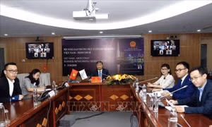 Tiềm năng quan hệ đối tác MERCOSUR - Việt Nam