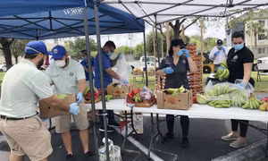 Người dân Florida ở Mỹ tuyệt vọng vì dịch bệnh và đói ăn