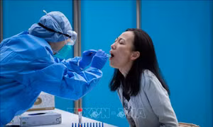 Diễn biến COVID-19 tới 6 giờ sáng 14/6: Trung Quốc đóng cửa chợ lớn nhất Bắc Kinh; Mỹ, Brazil nhiều ca mắc và tử vong mới nhất