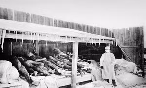 Kinh nghiệm chống dịch viêm phổi ở Trung Quốc cách đây 1 thế kỷ