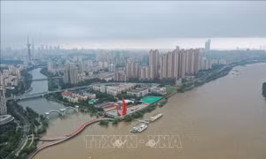 Mô hình trí tuệ nhân tạo có thể dự báo lũ lụt cho mọi con sông trên Trái đất