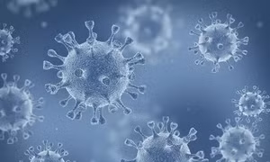 Phát hiện 5.500 loài virus mới trong đại dương