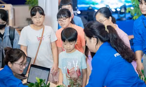 Hơn 4.000 thành viên Phenikaa chung tay hành động vì môi trường