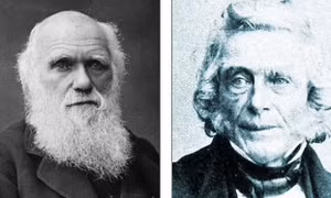 Xuất hiện bằng chứng mới cáo buộc nhà bác học Darwin đánh cắp Thuyết Tiến hóa