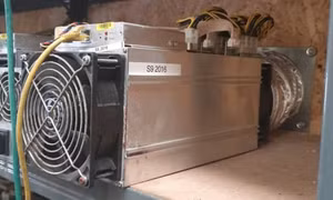 Đột kích trang trại nghi trồng cần sa, cảnh sát phát hiện cơ sở ‘đào’ Bitcoin khổng lồ