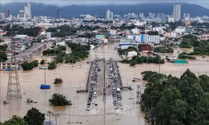 Ba thách thức và hai điểm sáng trong năm 2025 ở châu Á