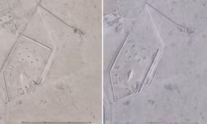 Lý do Mỹ sử dụng bệ phóng di động cho tên lửa tại căn cứ ở Qatar