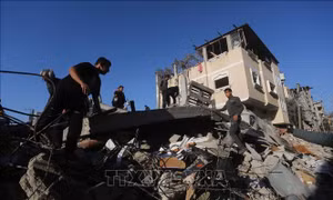 Tổ chức Ân xá Quốc tế: Israel dùng vũ khí Mỹ tấn công Gaza, giết chết 43 người Palestine