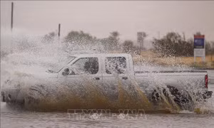 Cảnh báo hiện tượng 'siêu El Nino' tác động đến mùa bão toàn cầu