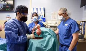 Bệnh nhân nhận tim lợn cấy ghép đầu tiên trên thế giới đã tử vong