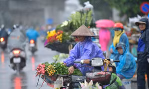 Thời tiết ngày 29/8: Bắc Bộ và nhiều khu vực mưa dông, Biển Đông sóng cao tới 4 m